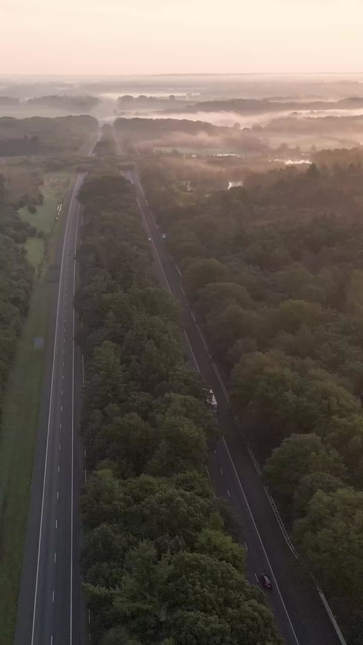 해가 뜨면 안개 숲을 가로질러 가는 고속도로