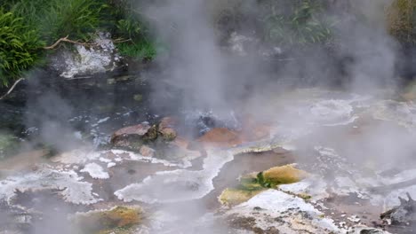 close up of bubbling sulphuric hot pool spring in swampy steamy and misty environment