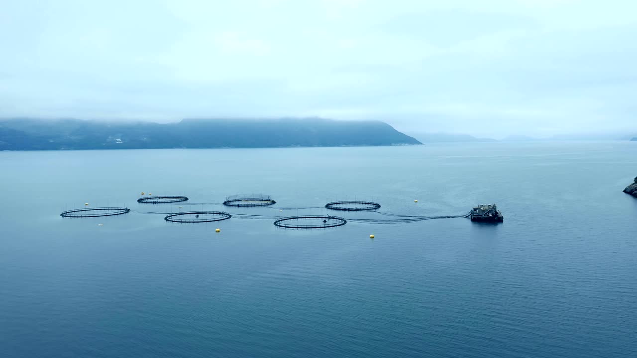 노르웨이에서 연어  ⁇ 시를 하는 공중 촬영