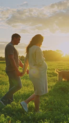 pregnant couple walking in a field at sunset