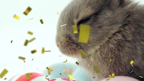 animación de confeti sobre conejo con huevos de pascua en fondo blanco en pascua