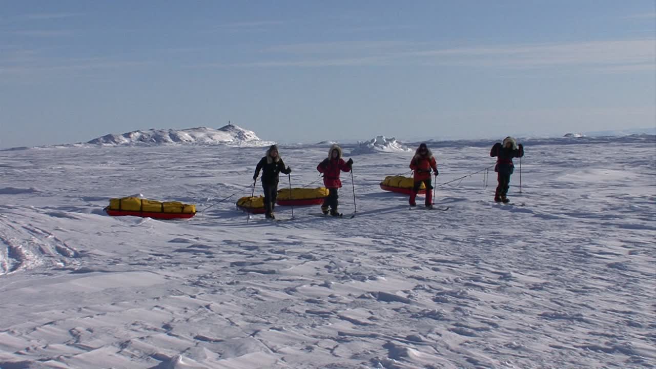북극 탐험대가 물품을 견인하는 크로스컨트리 스키를 타고 얼어붙은 툰드라를 횡단합니다.