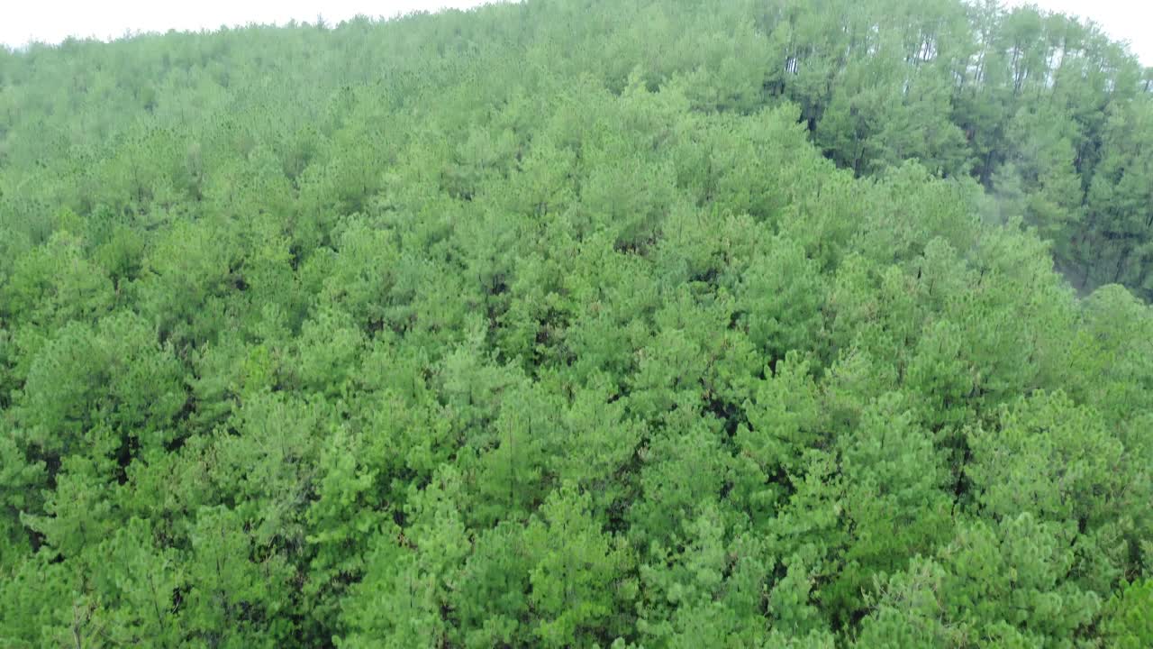 Drone video of Meghalaya's natural beauty.