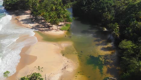 Punto-De-Vista-Aéreo-Del-Encuentro-Del-Río-Yarra-Con-El-Océano-En-Esta-Ubicación-épica-De-La-Costa-Norte-En-Trinidad-Y-Tobago