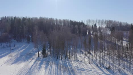 Drohnenvideo-Von-Blattlosen-Bäumen-In-Einem-Verschneiten-Hain