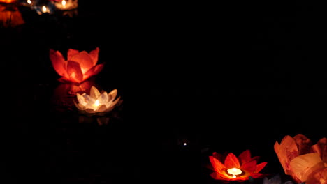 floating lotus lanterns at night