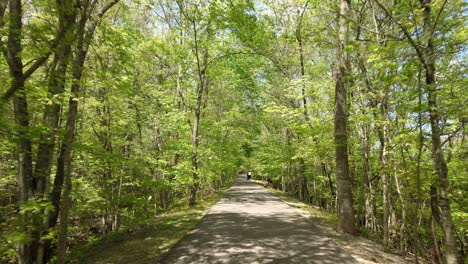 Flying-through-the-trees-on-the-path-at-Clarksville-Greenway,-revealing-a-walker