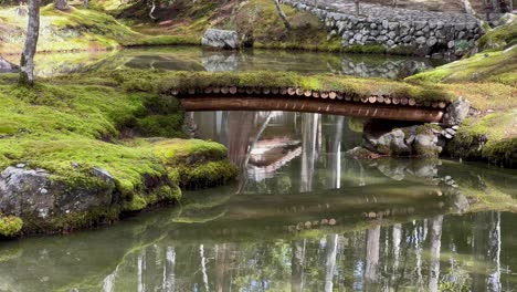 tranquil pond with mirror reflection in saihoji, moss temple in kyoto, japan