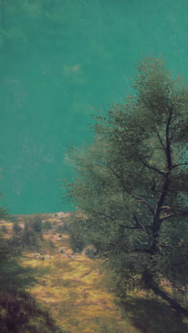 camino tranquilo del bosque