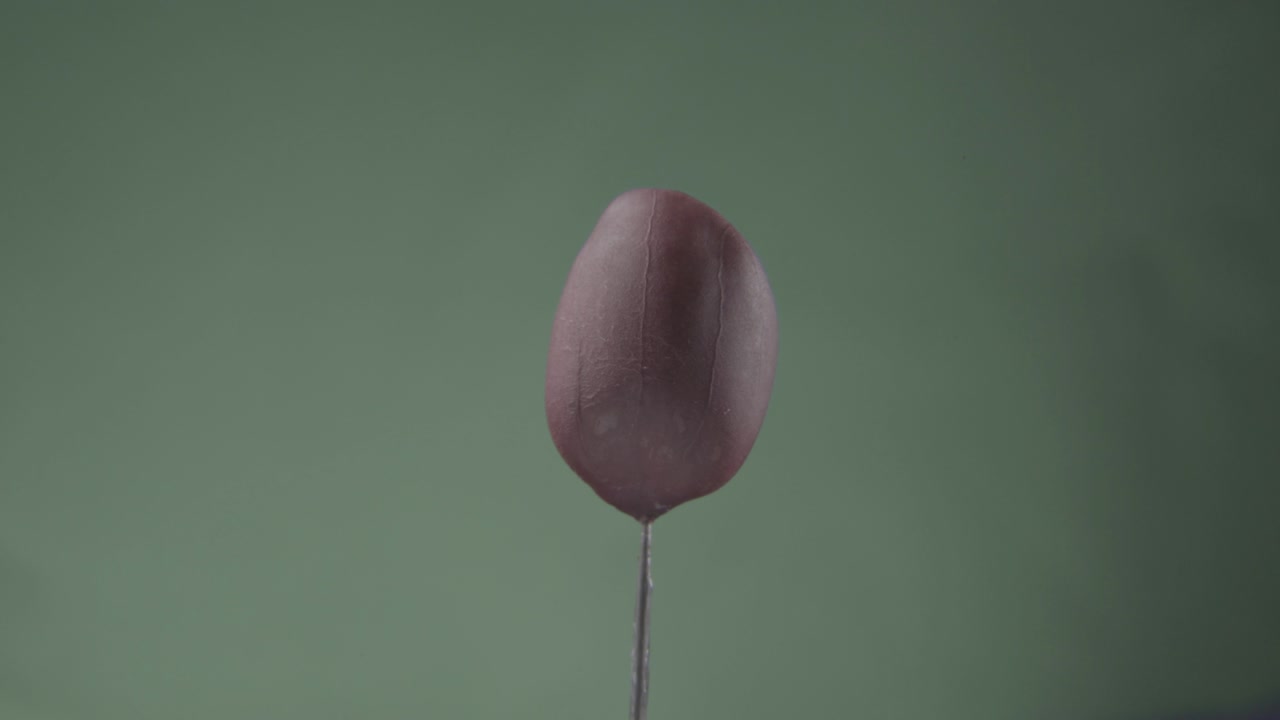 maní girando con bucle en la pantalla verde para la llave de croma