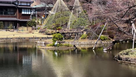serene japanese garden with a pond reflecting the landscape in tokyo