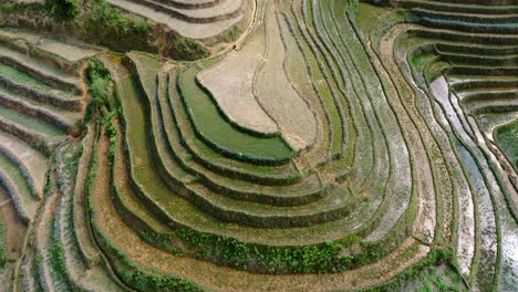 the drone rises over the landscape showcasing the beautiful patterns of the terraces