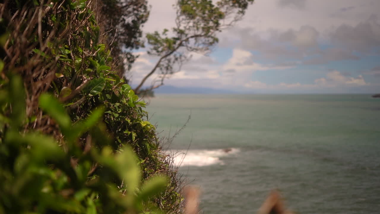 Vegetation growing along a cliff overlooking the seascape below in a tropical paradise - slow motion