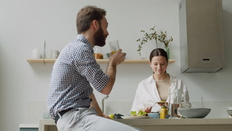 laughing couple chatting and having lunch together in a modern kitchen