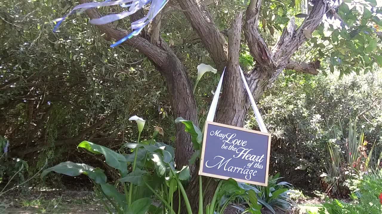 Decorazioni su un albero per un matrimonio a tema bohémien a East London, Capo Orientale, Sudafrica