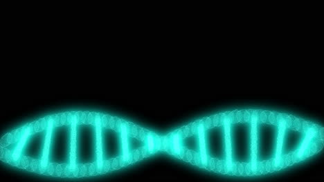 dna double helix illustration