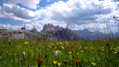 national nature park tre cime in the dolomites alps. beautiful nature of italy.