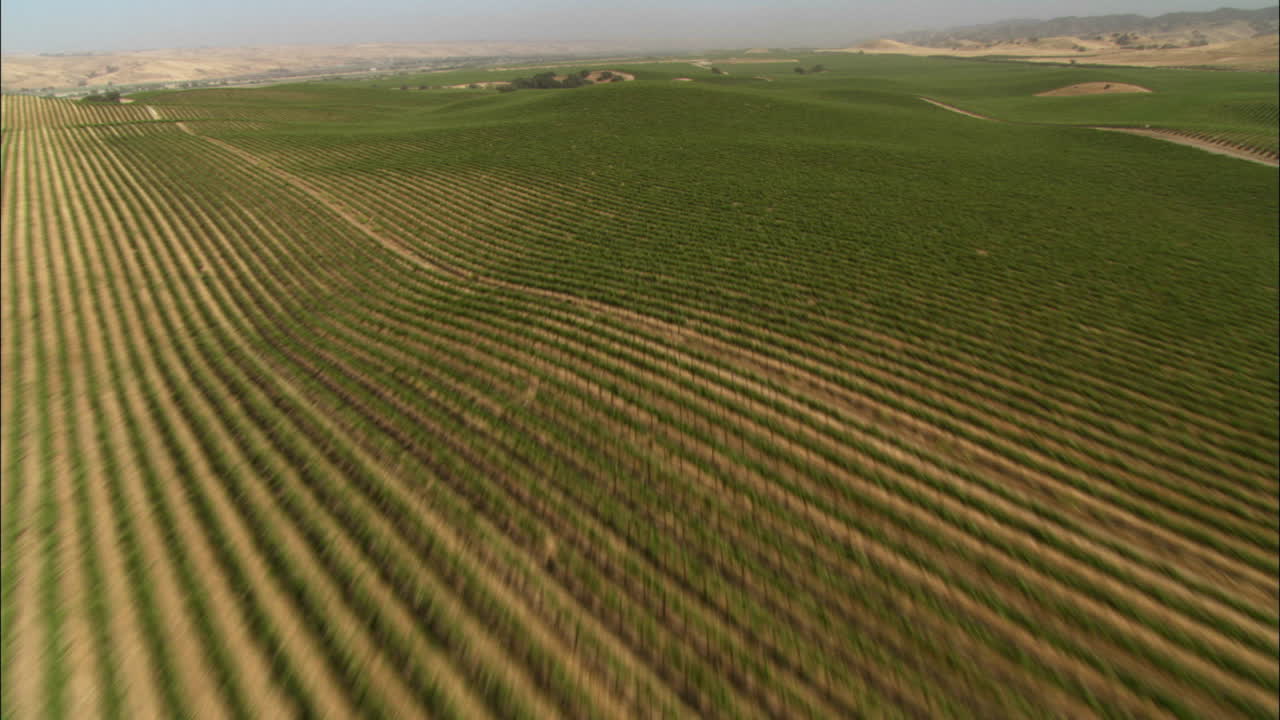 helicóptero aéreo de bajo nivel de los viñedos del condado de monterey, california 2