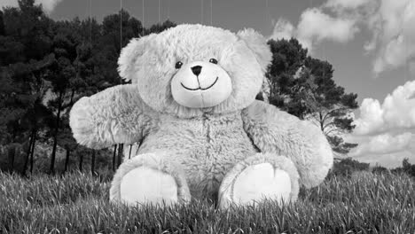 oso de peluche en un campo - blanco y negro