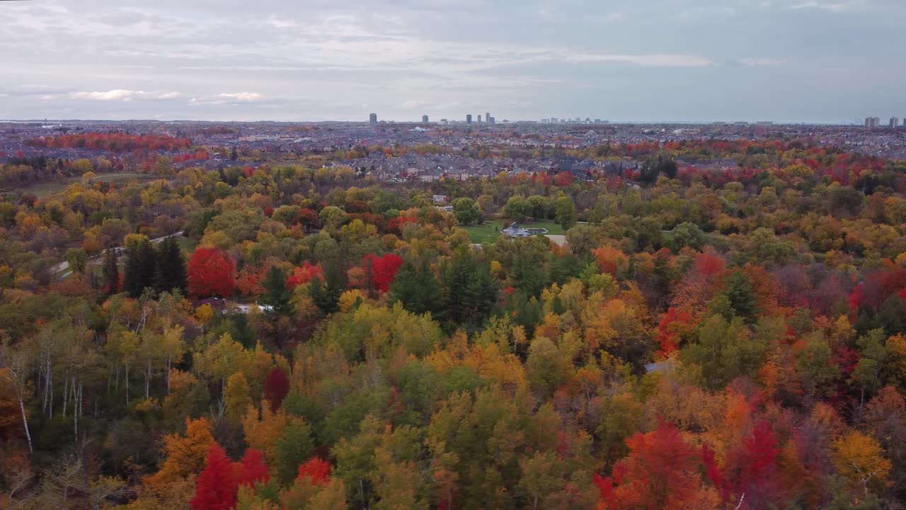 vista aérea en órbita de bosques y árboles en un día de otoño, nublado y cambiante