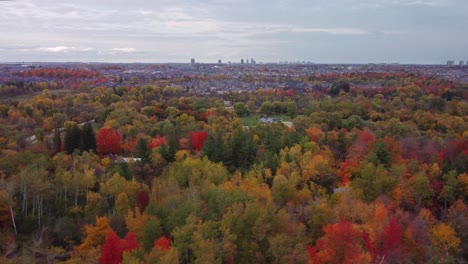 Orbit-aerial-view-of-woods-and-trees-in-a-fall,-cloudy,-moody-day