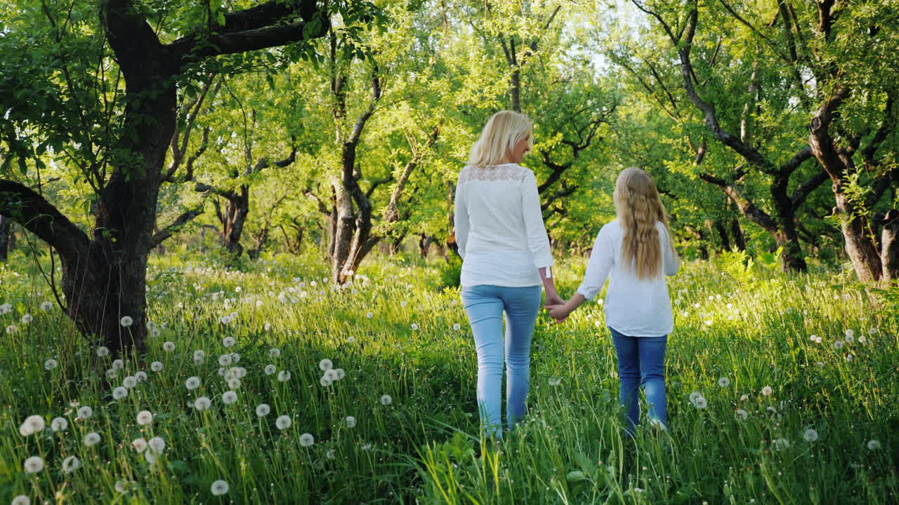 mamá e hija están caminando en el jardín de manzanas disfrutando del cálido día de primavera 4k video