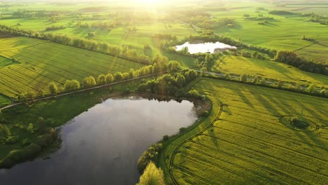 tranquil scenery with rapeseed fields and lake during golden hour - aerial drone shot