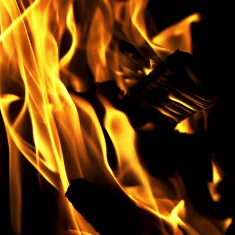 bonfire. slow motion. real fire flame on a black background.