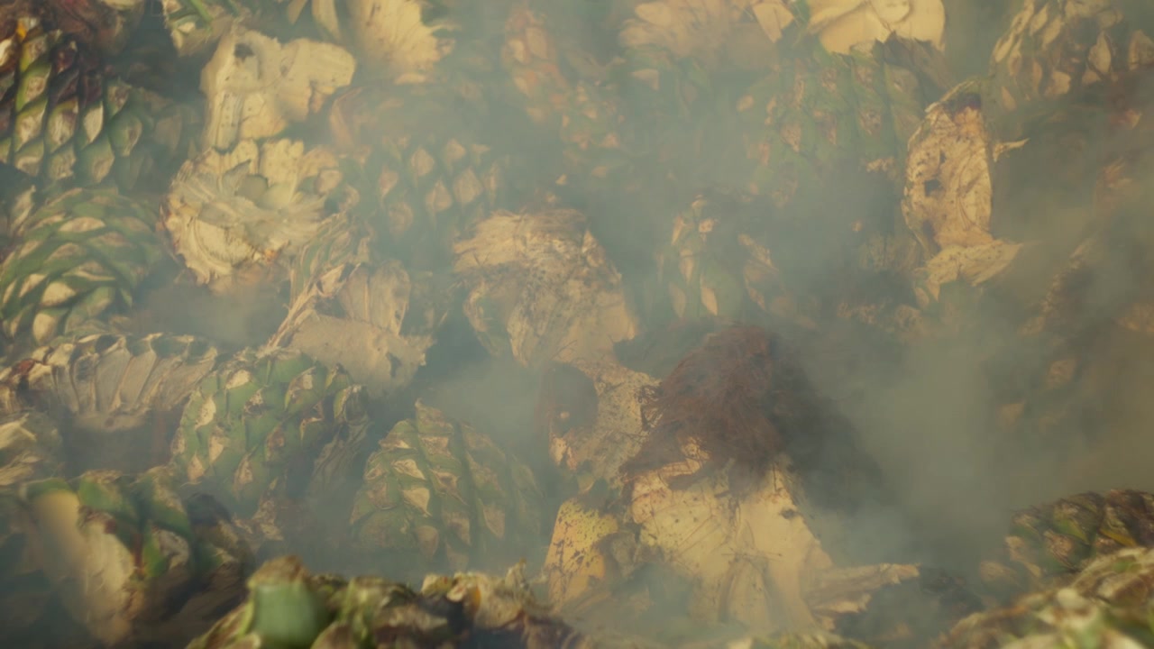 Pinas de agave assadas fumegantes dentro de um forno tradicional de mezcal em Oaxaca, a fumaça sobe lentamente, fundo texturizado.