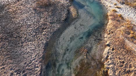 chinook salmon swimming upstream in shallow rocky stream during spawning season, seen from above