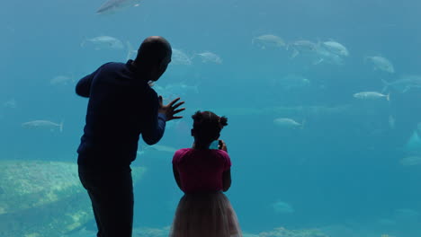 father with little girl at aquarium looking at fish tank teaching curious child about sea life dad showing daughter marine animals in oceanarium