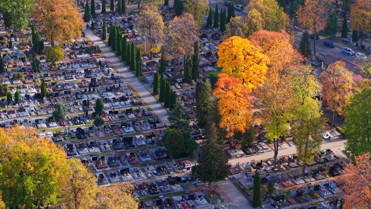 Aerial View of Big Dense Catholic Cemetery on Sunny Autumn Day, Graves and Colorful Tree Foliage