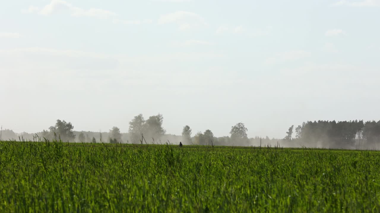 Sandstorm in the field - wind erosion of the top layer of fruitful soil. Dust storm in the field. Demolishes the fertile layer of black soil and crops. High quality 4k footage