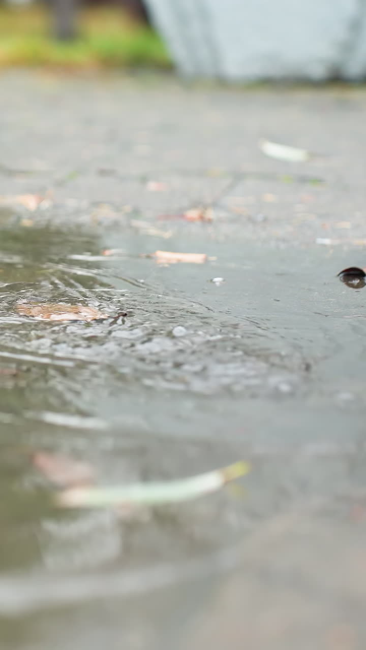Close-up of water puddle on wet paved path with scattered colorful autumn leaves reflecting bare trees above, as leg in black boot steps gently nearby during calm overcast day