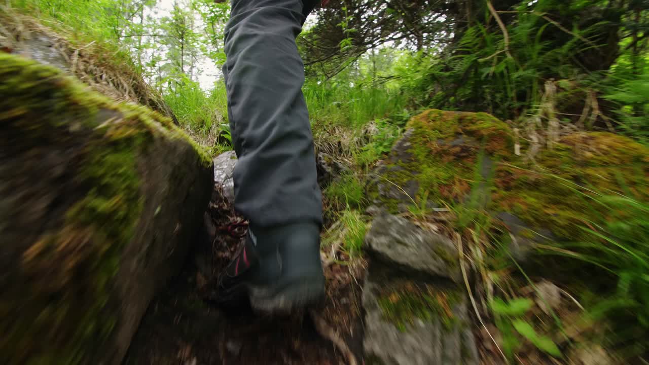 숲에서 산책하는 사람