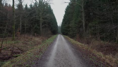 Punto-De-Vista-Dando-Un-Paseo-Por-Un-Bosque-De-Pinos-En-Un-Camino-Forestal-De-Grava---Dolly-En-Tiro