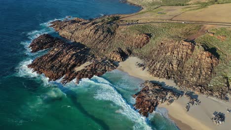 aerial view, pristine injidup beach and picturesque coastline of west australia on sunny day, tilt up drone shot