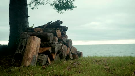 Log-Pile-on-the-shores-of-Lake-Superior