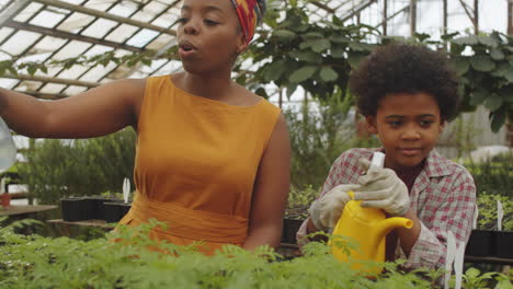 african american mother and son spraying plants in greenhouse