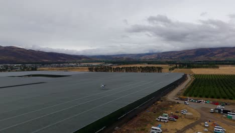 Industrial-helicopter-dries-cherries-in-large-netted-orchard-in-New-Zealand