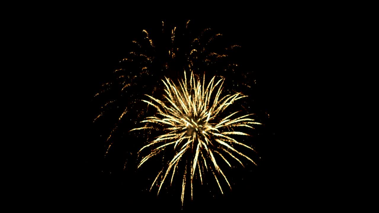 Fireworks Exploding Gold Against Black Sky