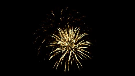fireworks exploding gold against black sky