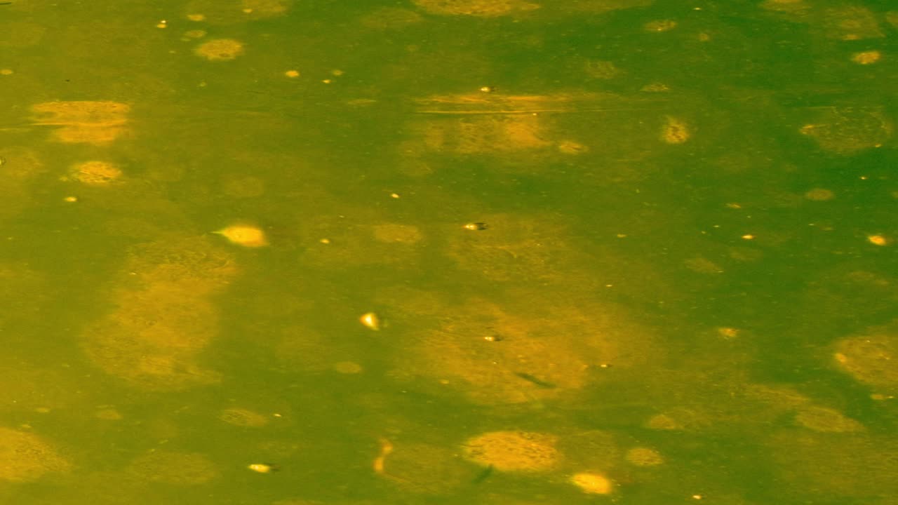 행성 표면의 거친 표면을 따라 이동하는 추상 애니메이션