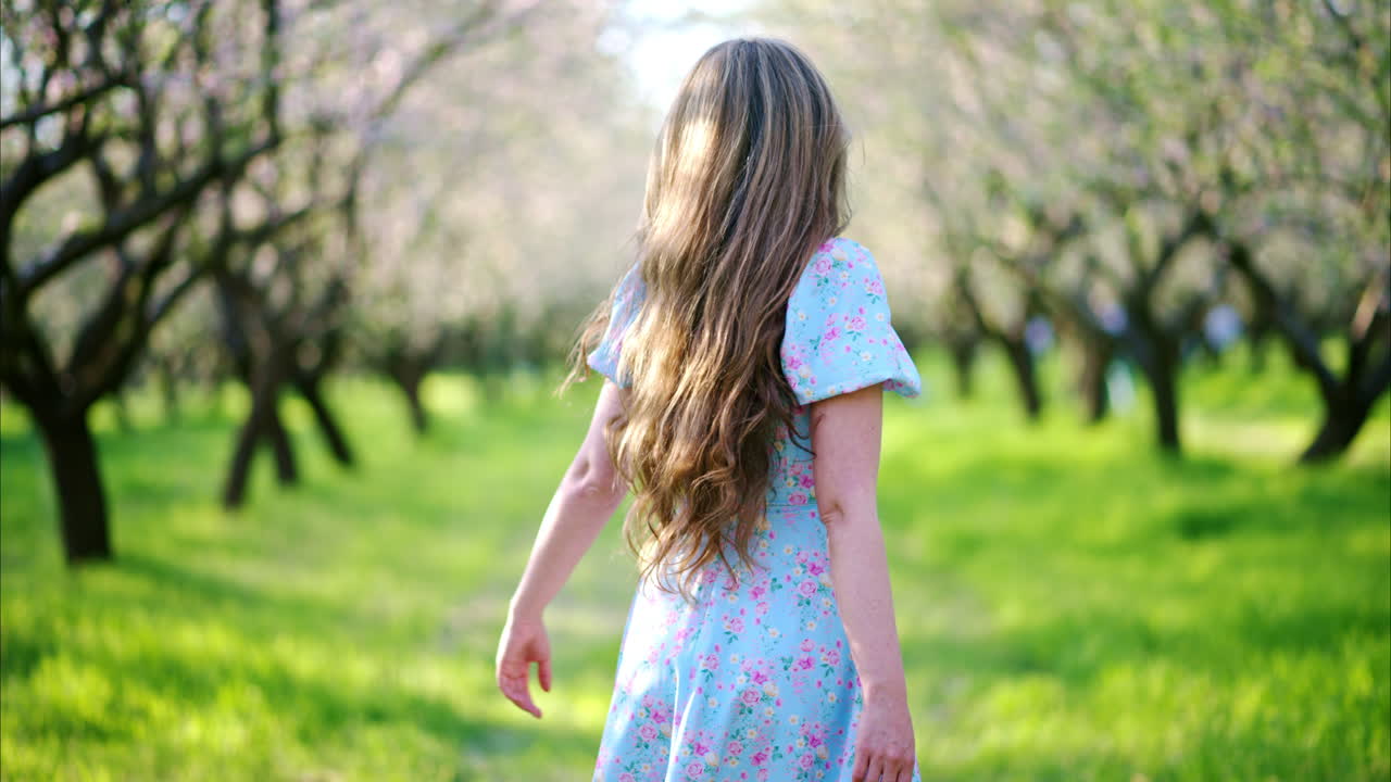 Brunette woman in a blue dress spinning in a field of blooming almond trees