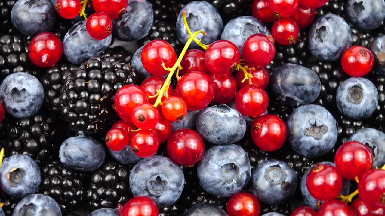 은 수박, 블랙베리 및 블루베리의 익은 원시 베리, 배경