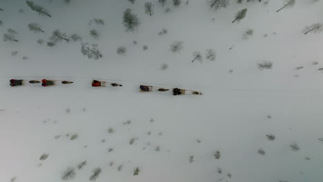 Blick-Von-Oben-Auf-Die-Rentierfahrt-Durch-Den-Schneelandschaftswald-In-Muonio,-Finnland