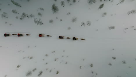 vista superior del paseo en reno que viaja a través del bosque nevado en muonio, finlandia