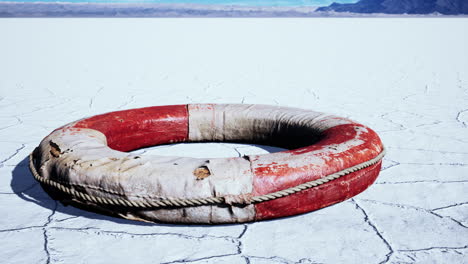 very-old-abandoned-Grungy-Lifebuoy