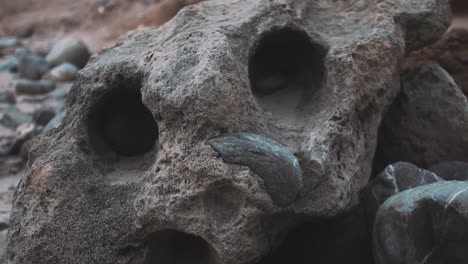 Alte-Fossilien-Im-Felsen-Am-Strand