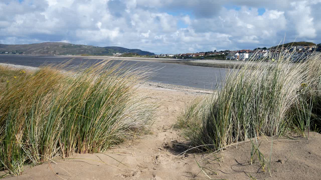 hierba de la playa que sopla en la brisa en la isla de dunas de arena vacaciones costeras frente al mar paisaje lento a la derecha dolly